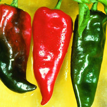 Load image into Gallery viewer, Organic Anaheim Chili Pepper Plant Seeds
