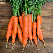 Load image into Gallery viewer, Organic Nantes Carrot Plant Seeds