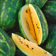 Load image into Gallery viewer, Organic Golden Honey Watermelon Plant Seeds