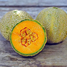 Load image into Gallery viewer, Organic Cantaloupe Plant Seeds