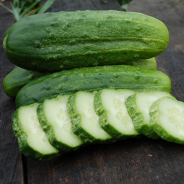 Organic Pickling Cucumber Plant Seeds SEEDTOPIA