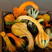 Load image into Gallery viewer, Organic Gooseneck Gourd Plant Seeds