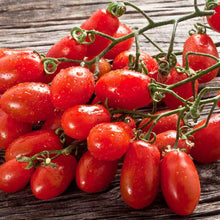 Load image into Gallery viewer, Organic San Marzano Tomato Plant Seeds
