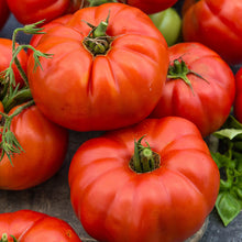 Load image into Gallery viewer, Organic Beefsteak Tomato Plant Seeds