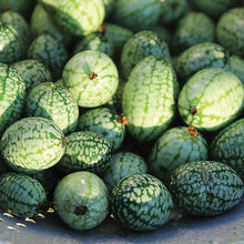 Load image into Gallery viewer, Organic Cucamelon Sour Gherkin Plant Seeds