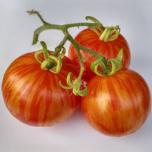 Load image into Gallery viewer, Organic Tigerella Plant Seeds
