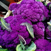 Load image into Gallery viewer, Organic Purple of Sicily Cauliflower Plant Seeds
