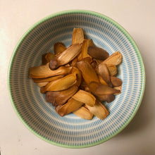 Load image into Gallery viewer, Mahogany Tree Seeds