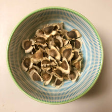 Load image into Gallery viewer, Moringa Drumstick Tree Seeds