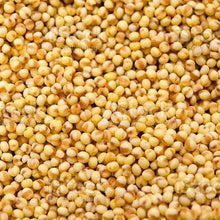 Load image into Gallery viewer, Foxtail Millet Ornamental Grass Seeds