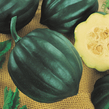 Load image into Gallery viewer, Organic Early Acorn Squash Plant Seeds