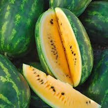 Load image into Gallery viewer, Organic Golden Honey Watermelon Plant Seeds
